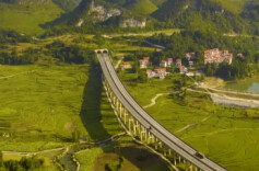 拾光纪·“植”此青绿，跟着总书记共建美丽家园