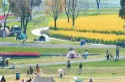 护航春假落地，成都佛山等地跟进宣布免费托管兜底