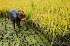 知遇知交——酒鬼50度