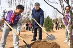 时政微观察丨草木植成，国之富也