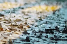 今年首场大范围强对流天气继续发威，专家详解风雨为何如此猛烈