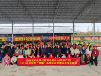 春季管护正当时 田间课堂助农增收