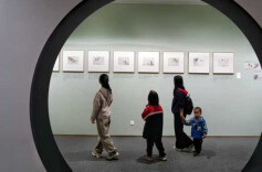 Exhibition of Du Wei's Chinese Paintings Opens at Hunan Museum