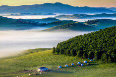 心有“野马”的人看过来，内蒙古把“草原”搬来了长沙