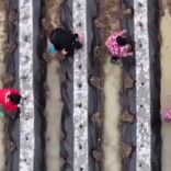 怀化：特色农业“多点开花” 春耕生产“钱”景喜人