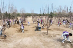 时政现场说丨厚植生态底色 共绘锦绣中国