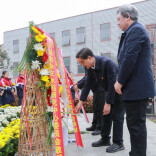 久雨初晴寄追思，盐碱滩上稻花开