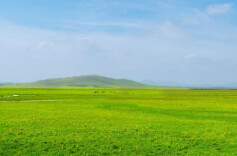 《草原动态监测技术规程》通过专家审查