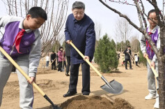 近镜头｜为山川大地增添锦绣