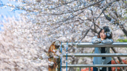 开往春天的地铁