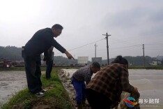 护航春耕备耕！农技专家到湘乡田间开“良方”