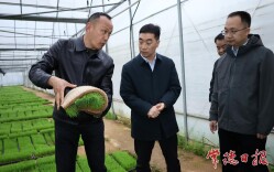常德市领导督导春耕备耕并开展巡林工作