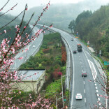 长芷高速溆浦段：一路桃花开 车行画卷中