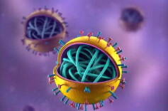 症状来得又急又凶？中疾控：可能不是普通感冒，而是流脑！