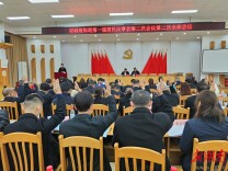 望城坡街道第一届居民议事会第二次会议顺利召开 