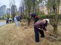 雷锋月里学雷锋：长理学子以实干让榜样力量落地生根