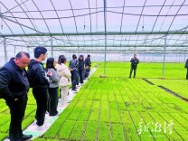 长株潭植保专技人员田间“取经”