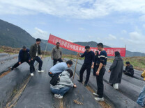 张家界莓茶地方标准启动修订 首场现场试验同步开展