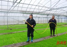 湖南出台举措支持农业适度规模经营