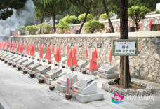 清明・踏春⑤丨追寻，千里赴南疆 深情祭英魂