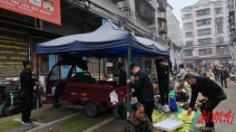 鹤城区河西街道：以街巷“小整治” 绘就文明“大画卷”
