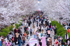 人间四月天，吃喝玩乐逛新区！