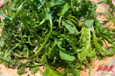 春日荠菜似仙丹