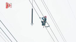 线路有隐患？“小飞人” 空中速除