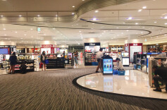 Hainan Free Trade Port Coordination Service Center Unveiled in Zhuzhou