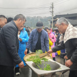31支队伍制茶大比拼！保靖黄金茶非遗村茶大晒来了