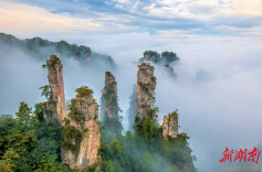 张家界凭什么敢叫“国际张”？答案藏在一个湖南少年的20年里