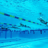 最好的养生，都是免费的！