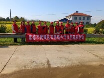 武陵区芙蓉路小学开展植树活动