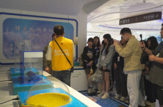 当香港青少年遇见凤凰……