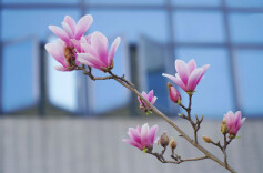 2026“我的寒假”主题征文投稿：檐下暖年