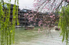 2026“我的寒假”主题征文投稿：老马慢蹄，岁月长行