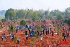 省直单位广泛开展“学雷锋 做志愿 共同奋进‘十五五’”“雷锋家乡学雷锋”志愿服务活动（一）