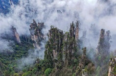 Spectacular View of Cloud-shrouded Tianzi Mountain in Zhangjiajie