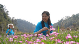 花开全域，业兴万家！绥宁：“赏花+”铺就“美丽经济”新赛道