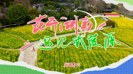 花开湖南③｜遇见武陵源：一步一景处处皆春