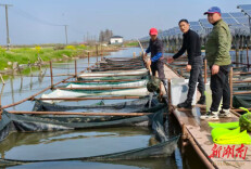 湖南日报|大通湖大闸蟹亩均产值超3万元