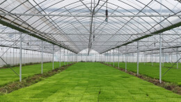 抢抓农时育秧忙！石门易家渡镇春耕有“粮”策