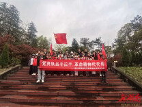 浏阳洞阳镇：清明寄哀思 文明传新风——组织开展清明祭扫活动