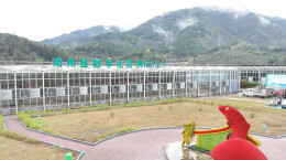 靖州：工厂化智能育秧抢农时，科技赋能春耕生产​