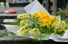 益阳市资阳区：绿色文明祭扫 让清明更“清明”