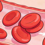 血液循环不畅怎么办？简单2招，帮你改善大问题！