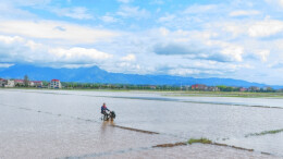 清明时节农事忙