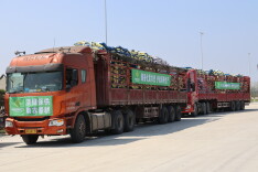 1200吨农资运抵华容 供销社“淡储旺供”保春耕