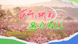 花开湖南②｜遇见石门：桃花夭夭灼其华