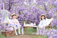 清明假期，长沙县5条宝藏线路等你踏青